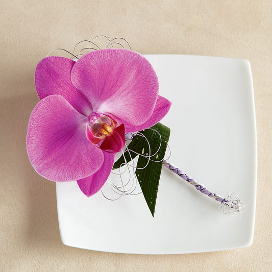 Glorieuse boutonnière