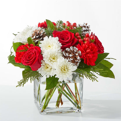 Bouquet d'ange des neiges